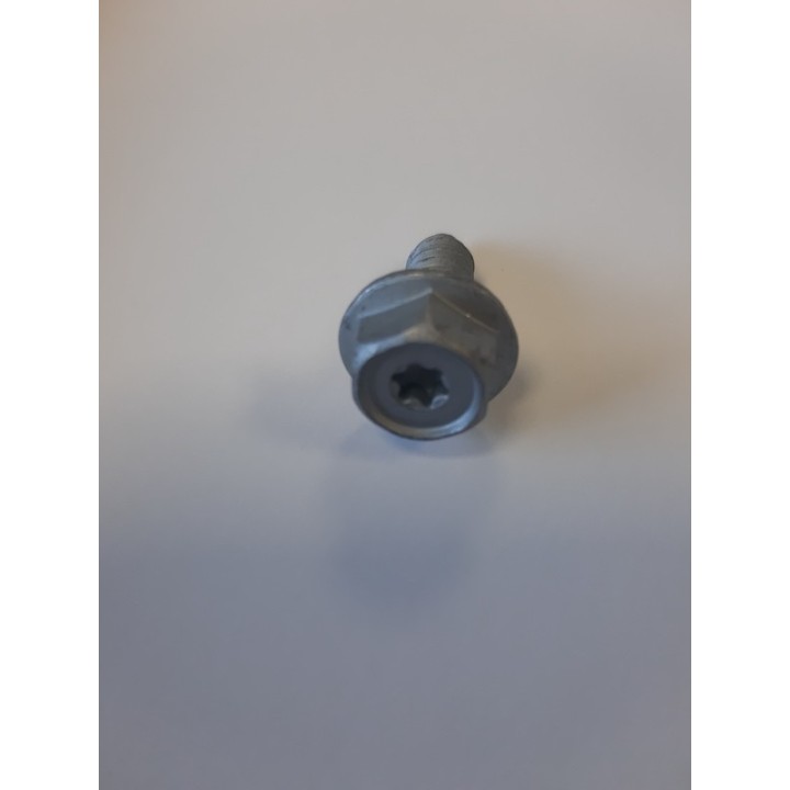 Lot de 10 vis B8 x 22 GEOMET Hormann Référence 3095164