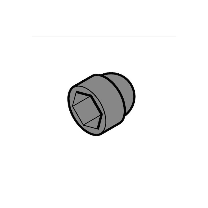 Lot de 10 Couvercles pour tête de vis SW10, noir Hormann Référence 3096844