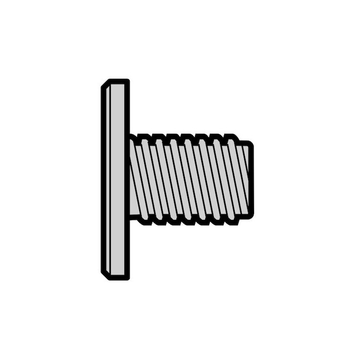 Lot de 10 Vis à tête plate Torx M5 x 10, GEOMET Hormann Référence 3064280