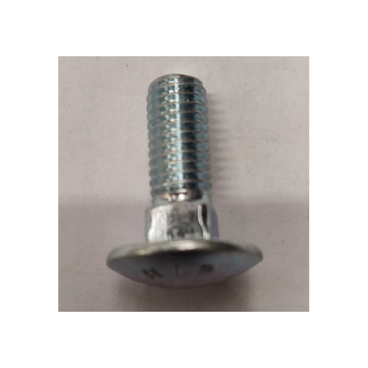 Lot de 10 Vis à tête bombée M8 X 22 à collet carré Hormann Référence 3035719