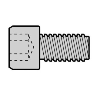 Lot de 10 vis à tête cylindrique M8 x 16 galvanisée, à six pans creux pour arrêt Hormann Référence 3073756