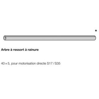 Arbre à ressort 40x5 à rainure, pour motorisation directe S17 / S35 Hormann Référence 3097080