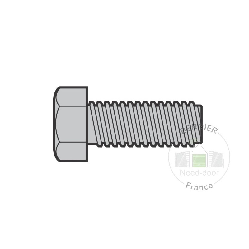 Lot de 10 Vis à 6 pans M10 x 20 avec cuvette Hormann Référence 3011224